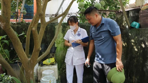 Cán bộ y tế đang giám sát chỉ số bọ gậy tại hộ gia đình trên địa bàn Hà Nội.