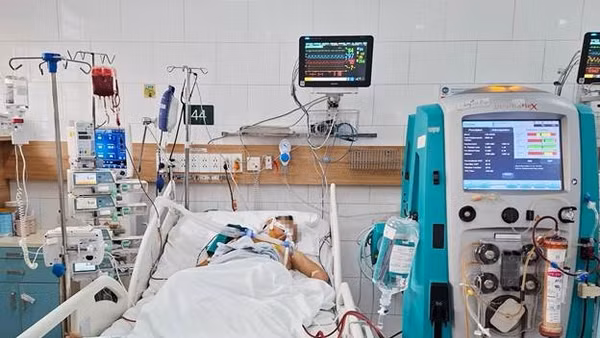 Bệnh nhân nằm điều trị tại Trung tâm Chống độc, Bệnh viện Bạch Mai.