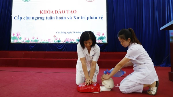 Nhân viên y tế tham gia khóa đào tạo cấp cứu ngừng tuần hoàn và xử trí phản vệ. 