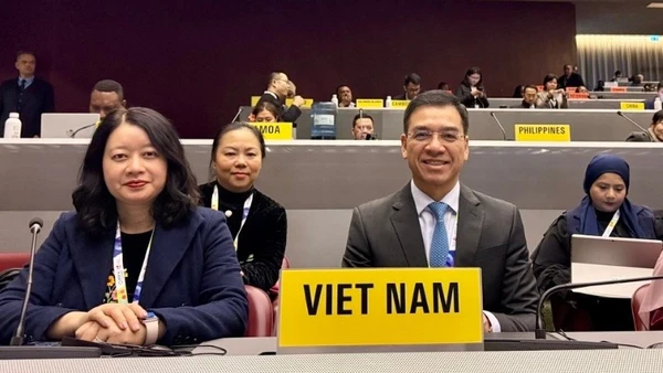 Đoàn Việt Nam tham dự COP 11 do Tiến sĩ Hà Anh Đức, Cục trưởng Cục Quản lý Khám, chữa bệnh, Giám đốc Quỹ Phòng, chống tác hại của thuốc lá làm Trưởng đoàn.