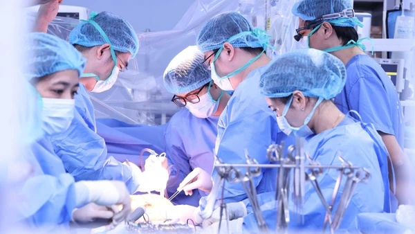 Các bác sĩ tiến hành lấy tạng hiến.
