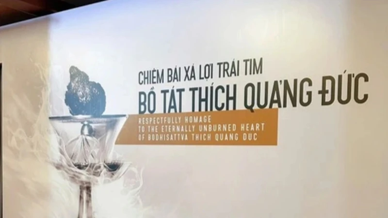 [Video] Chính thức chiêm bái xá lợi trái tim Bồ tát Thích Quảng Đức