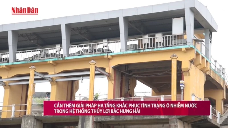 [Video] Cần thêm giải pháp hạ tầng khắc phục tình trạng ô nhiễm nước trong hệ thống thủy lợi Bắc Hưng Hải