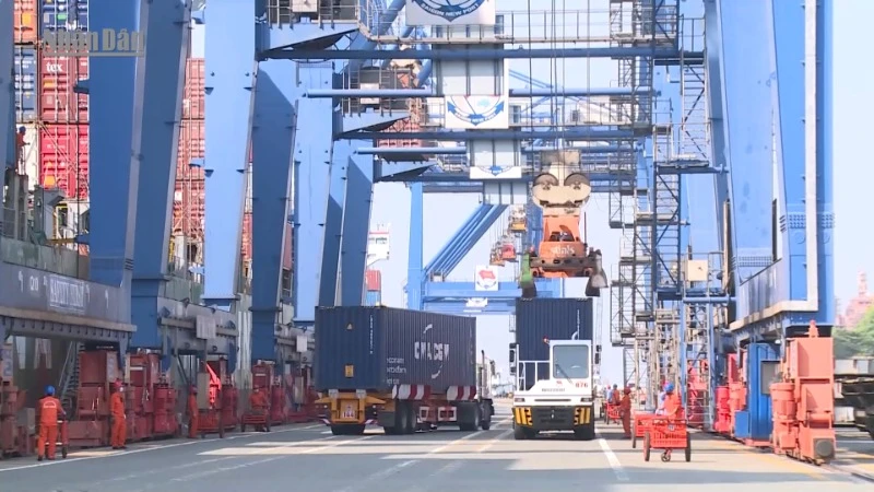 [Video] Ngăn chặn chuyển tải hàng hóa bất hợp pháp để bảo vệ thương hiệu Việt