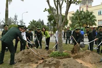 Các đại biểu tham gia trồng cây sau lễ phát động.