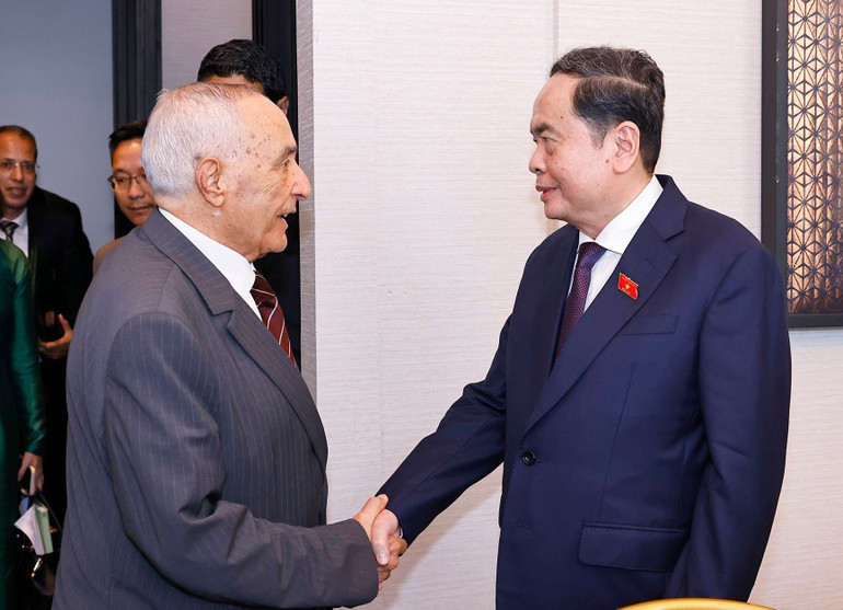 vna-potal-chu-tich-quoc-hoi-tran-thanh-man-tiep-chu-tich-hoi-huu-nghi-maroc-viet-nam-8173315.jpg