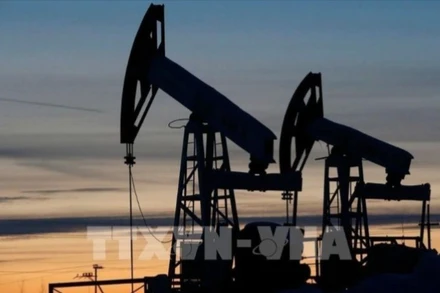 Khai thác dầu mỏ ở Vịnh Suez. (Ảnh: THX/TTXVN)