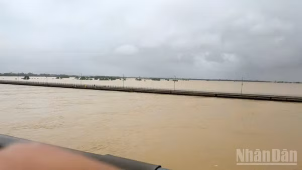 Nước sông Thu Bồn tại Câu Lâu ở mức xấp xỉ lũ lịch sử.