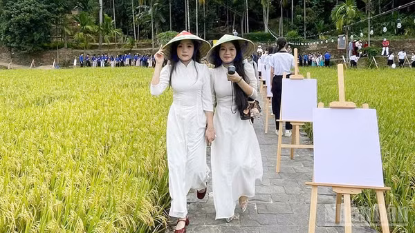 Đông đảo người dân và du khách đến tham quan, trải nghiệm tại Hội làng Lộc Yên - Thạnh Bình lần thứ V. (Ảnh: Thạnh Bình)