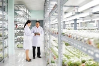 Phòng nuôi cấy mô cây giống, Khu Nông nghiệp công nghệ cao Thành phố Hồ Chí Minh.