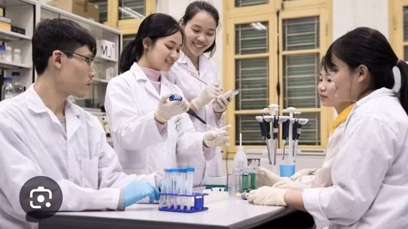 Sinh viên Trường đại học Y Dược, Đại học Quốc gia Hà Nội trong giờ thực hành.