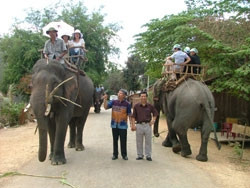 Voi nhà tuyệt diệt: 30 hay 10 năm nữa?