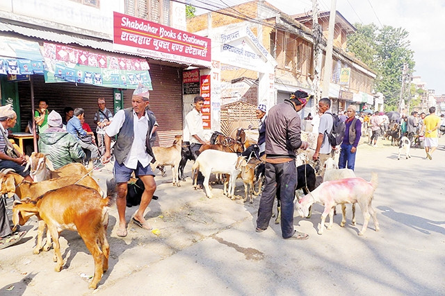 Chợ dê đường Bag Bazaar ở Kathmandu. 