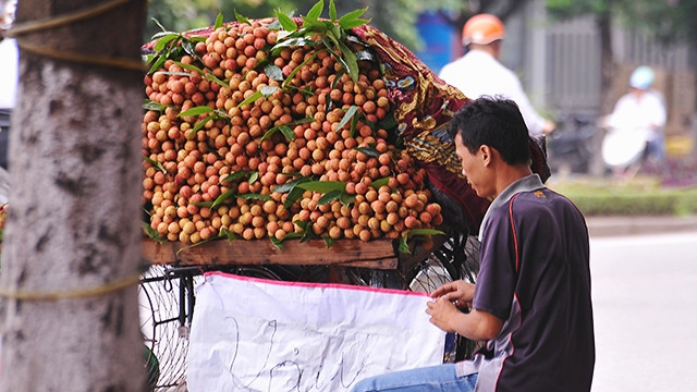 Nhiều người bán hàng không hề biết đề án cấm bán hoa quả rong.