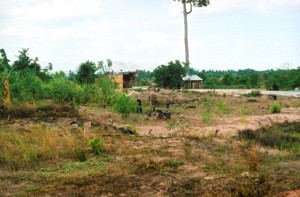 Đất ở xã Gia Huynh bị dựng chòi lấn chiếm.