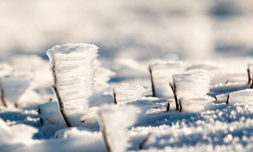 Hình ảnh băng tuyết trên toàn thế giới