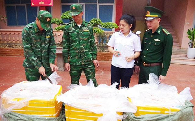 Lực lượng chức năng kiểm tra sản phẩm từ động vật bị thu giữ trước khi bàn giao, đem đi tiêu hủy.