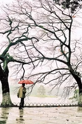 Con tằm đến thác vẫn còn vương tơ