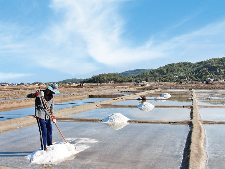 Nhiều ruộng muối hiện đang bị bỏ hoang, hình ảnh diêm dân chỉ còn lại rất ít trên đồng muối Sa Huỳnh.