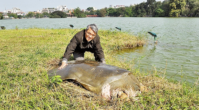 Nhà báo Hà Hồng và rùa hồ Gươm.