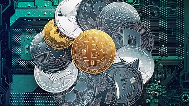 Ảnh minh họa. Nguồn: INTERNET