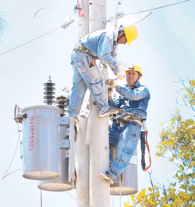 Công nhân ngành điện TP Hồ Chí Minh đưa điện lưới quốc gia về ấp đảo Thiềng Liềng.