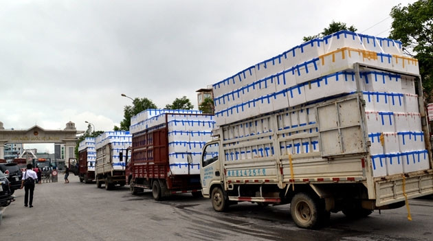 Vải thiều Bắc Giang bắt đầu xuất sang Trung Quốc qua Cửa khẩu quốc tế Lào Cai.