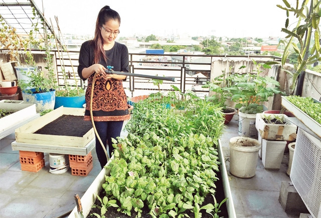 Một gia đình ở phường Hiệp Bình Chánh, quận Thủ Đức tận dụng sân thượng tại nhà để trồng nhiều loại rau sạch. Ảnh: UYÊN PHƯƠNG