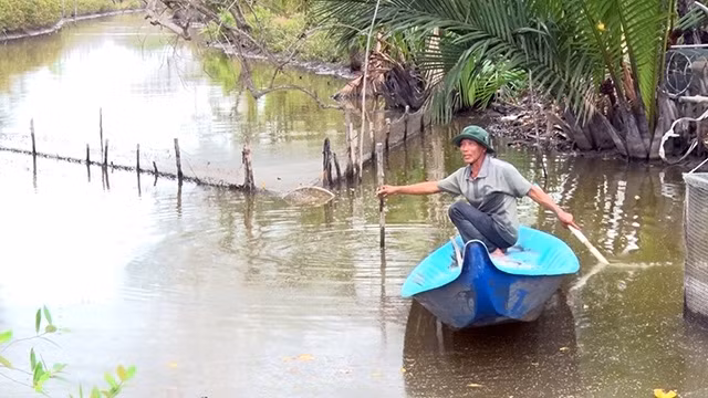 Mô hình nuôi thủy sản dưới tán rừng của ông Hai Nhàn (ấp Xẻo Quao A, xã Nam Thái A, huyện An Biên).
