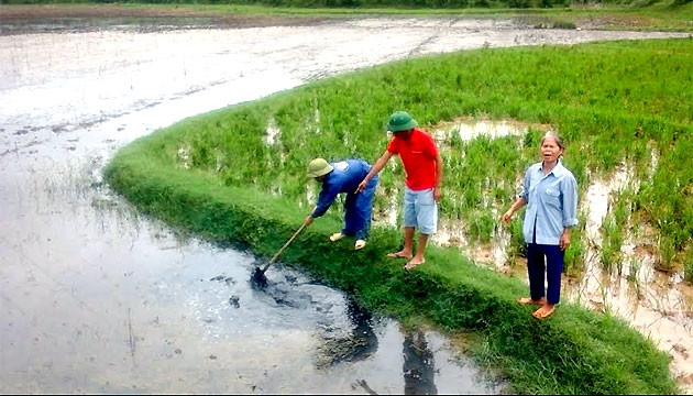 Ô nhiễm môi trường, ảnh hưởng nghiêm trọng đến môi trường, sức khỏe và hoa màu của người dân.