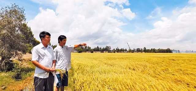 Chàng trai Vũ Kim Thành (trái) năm xưa theo gia đình vào đây lập nghiệp, nay đã là Chủ tịch UBND xã Hưng Hà.