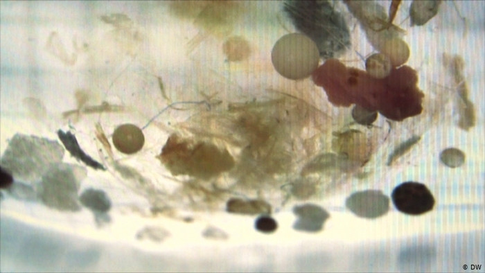 WHO: Cần thêm nhiều nghiên cứu về tác hại của hạt vi nhựa