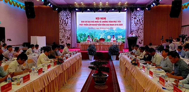 Rừng vẫn còn bị phá nhiều ở Bắc Cạn, Điện Biên và các tỉnh Tây Nguyên