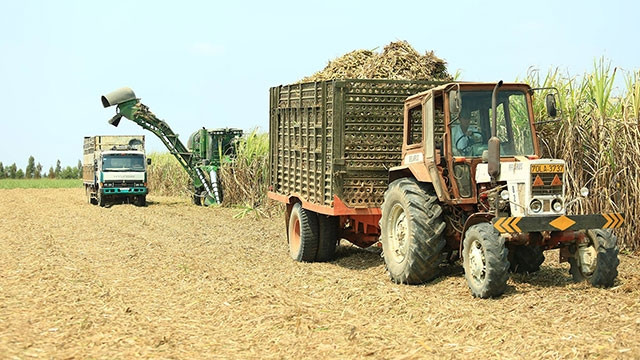 Bao giờ người trồng mía hết phải gặm nhấm vị đắng của cây mía.