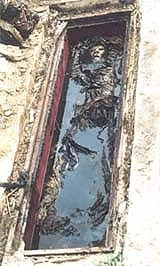 Chiếc quan tài cổ tại
cánh đồng đào Nhật Tân.