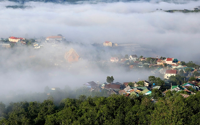 Một góc Đà Lạt trong sương sớm.