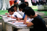 Cố gắng học để được học bổng.