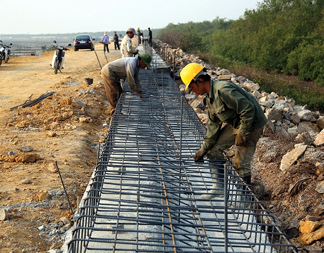 Công nhân Công ty cổ phần đầu tư xây dựng APP thi công tuyến đê biển 1, quận Đồ Sơn (Hải Phòng). Ảnh: PHƯƠNG LINH