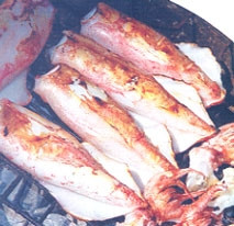Mực cơm, đặc sản miền trung