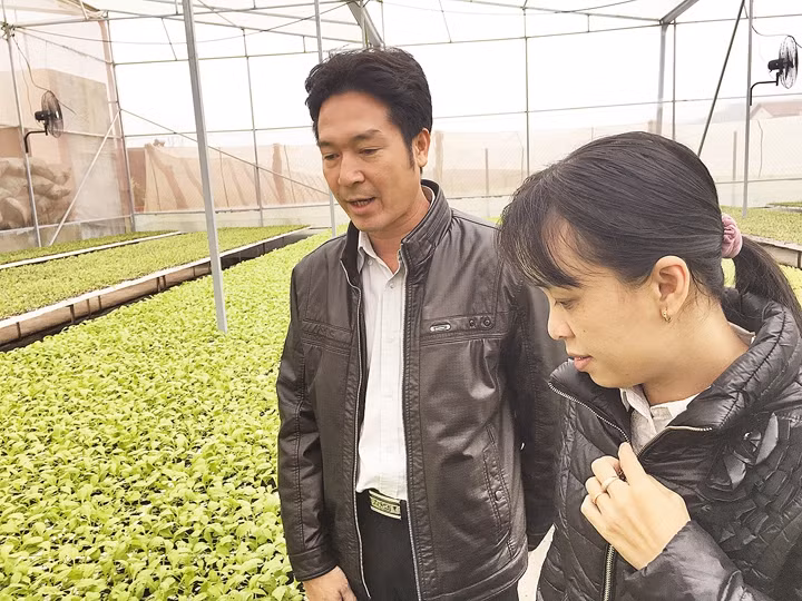 Anh Nguyễn Hồng Chương giới thiệu những bầu rau giống trong khu nhà kính.