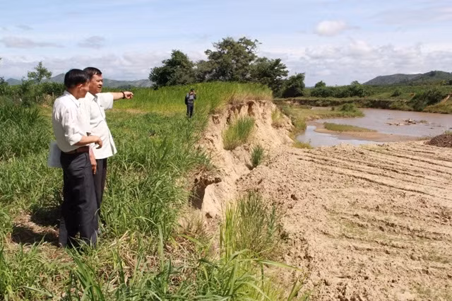 Bờ sông Krông Bông đoạn qua thôn 4, xã Hòa Phong, huyện Krông Bông ngày càng sạt lở sâu vào đất liền.