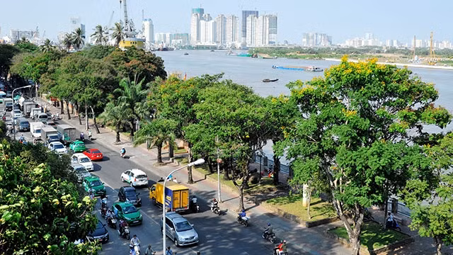 TP Hồ Chí Minh đang thiếu nghiêm trọng các mảng không gian xanh. Ảnh: HẢI ANH