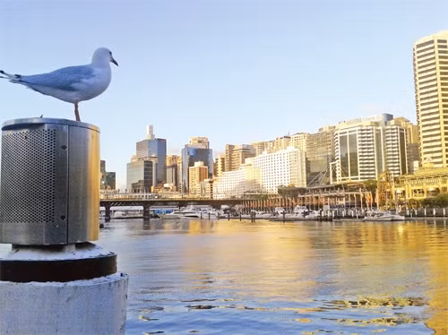 Hoàng hôn trên trung tâm giải trí Darling Harbour.