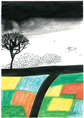 Trên cánh đồng tháng Mười