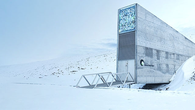 "Hầm tận thế" lưu giữ lương thực cho nhân loại. Ảnh: GETTY IMAGES