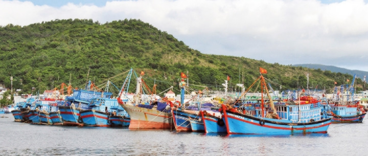 Đội thuyền xuất quân ra ngư trường Trường Sa.