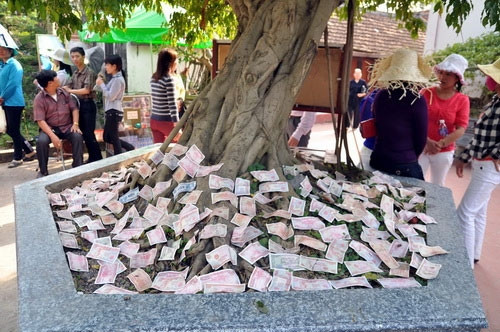 Những đồng tiền lẻ rải đầy dưới gốc cây không biết mang ý nghĩa gì?