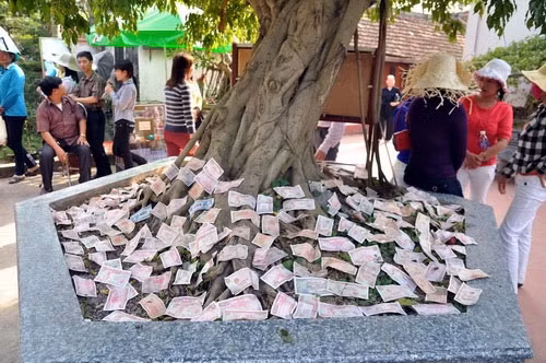 Những đồng tiền lẻ rải đầy dưới gốc cây không biết mang ý nghĩa gì?