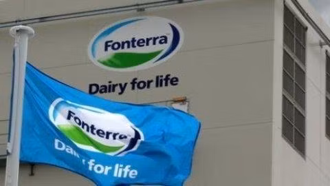 Bột sữa do Fonterra sản xuất không nhiễm khuẩn độc. (Ảnh: Internet)