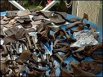 Phát hiện số lượng lớn xương chim dodo